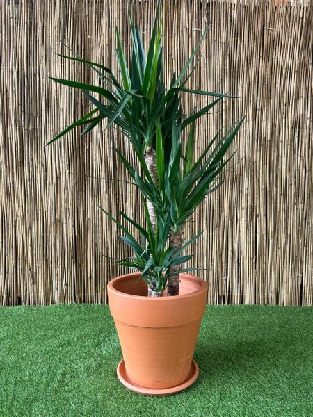 Kalın Dudaklı Modeli Doğal El yapımı Terracotta Çömlek Saksı Tabaklı