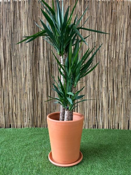 Uzun Konik Modeli Doğal El yapımı Terracotta Çömlek Saksı Tabaklı