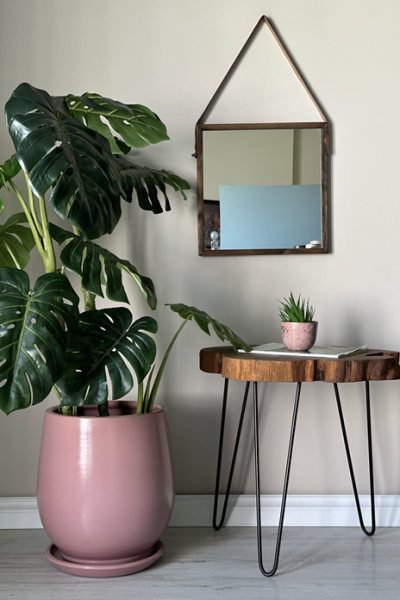 Armut Saksı Tabaklı -Pembe