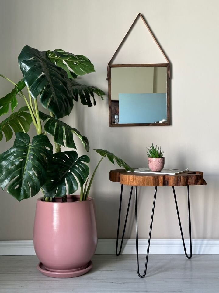 Armut Saksı Tabaklı -Pembe