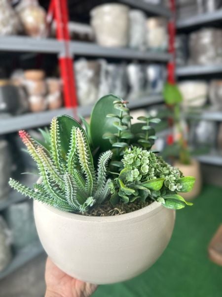 Yapay Bitkili Aranjman Saksı Çap: 20cmX Yükseklik: 12cm Ekru