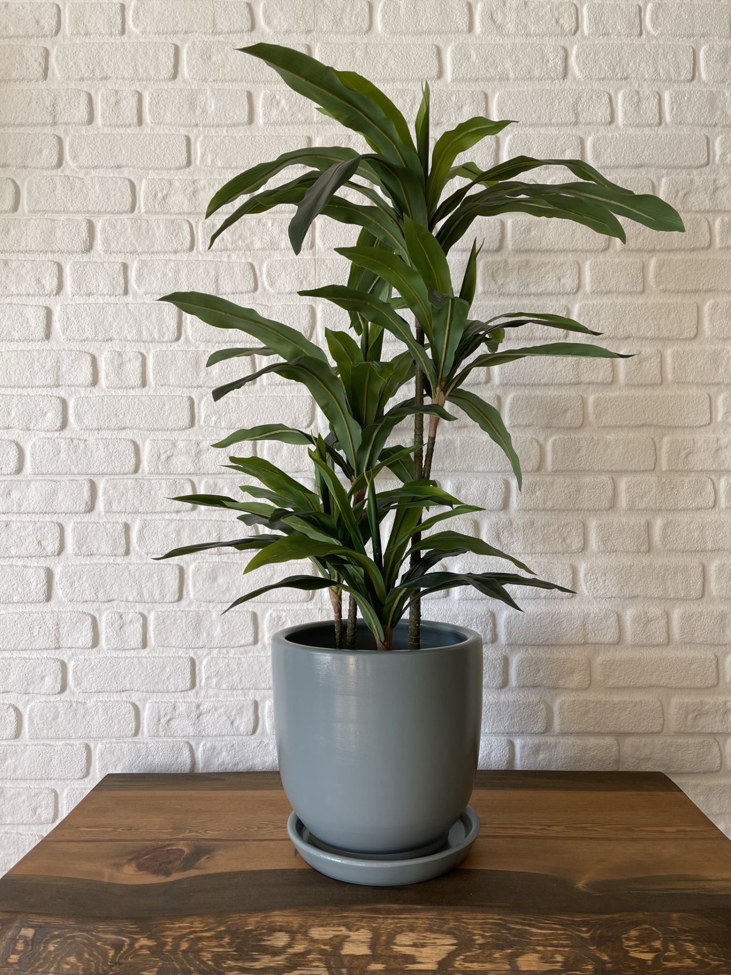Klasik Saksı Tabaklı Yükseklik 17cmX Çap 19cm Füme