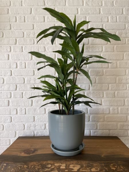 Klasik Saksı Tabaklı Yükseklik 17cmX Çap 19cm Füme