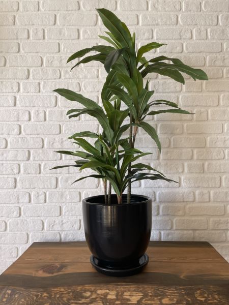 Klasik Saksı Tabaklı Yükseklik 17cmX Çap 19cm Siyah