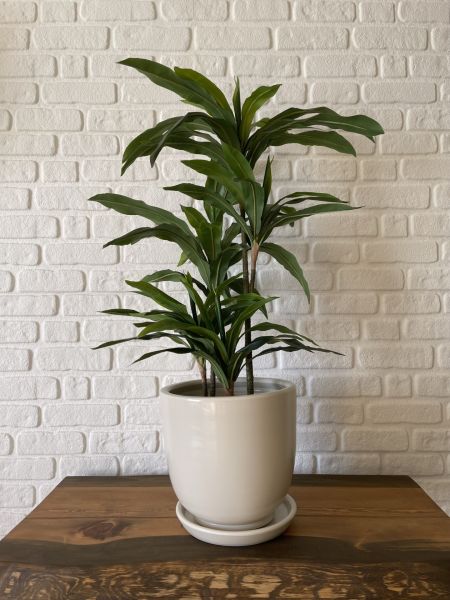 Klasik Saksı Tabaklı Yükseklik 17cmX Çap 19cm Ekru