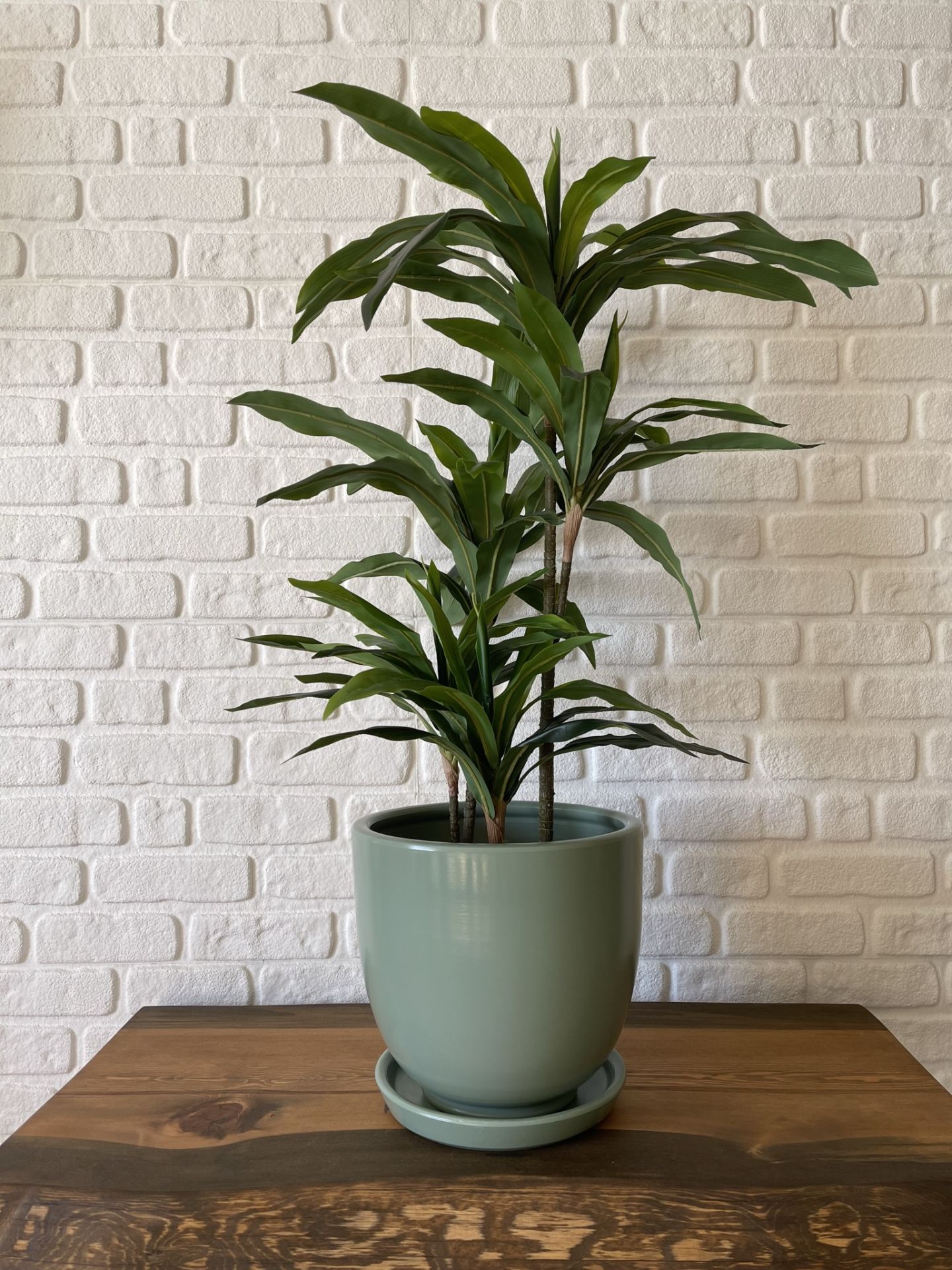 Klasik Saksı Tabaklı Yükseklik 17cmX Çap 19cm Mint Yeşili