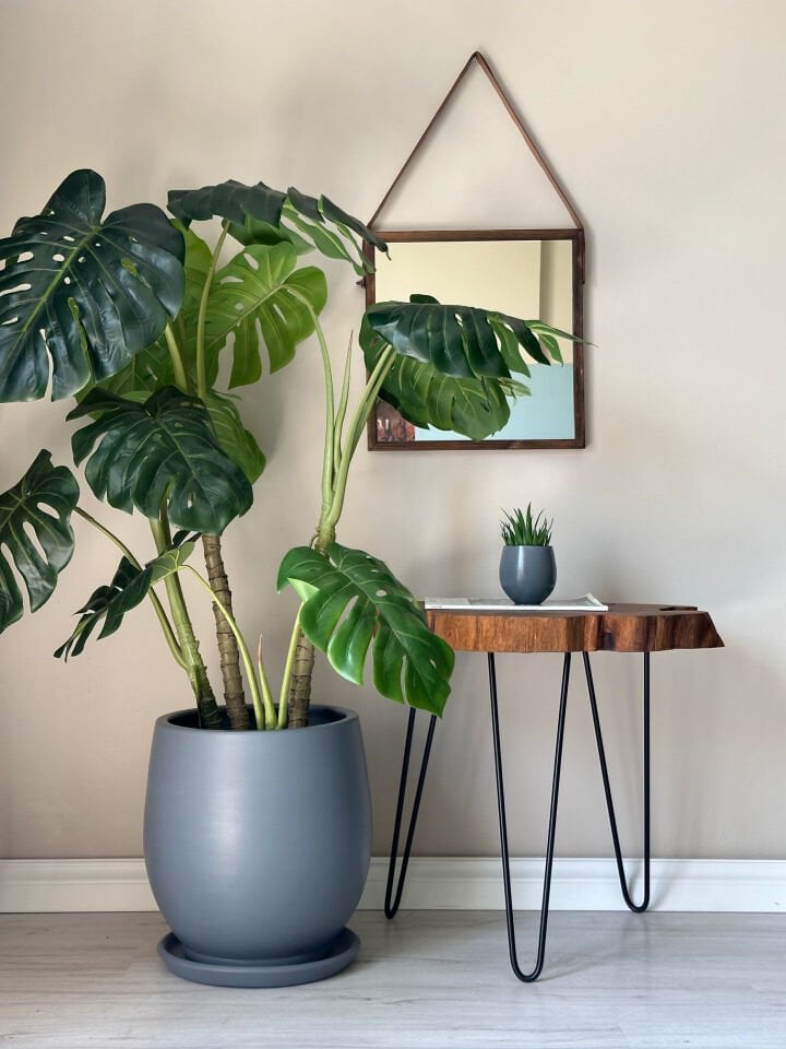 Armut Saksı Tabaklı Yükseklik:32cm Çap:26cm