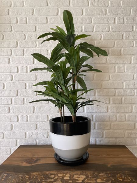 Klasik Saksı Tabaklı Yükseklik 17cmX Çap 19cm Siyah-Beyaz-Granit