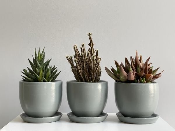 3lü Kaktüs Saksı Seti Tabaklı Füme Yükseklik 10cm Çap 12cm