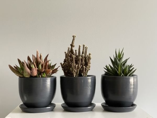 3lü Kaktüs Saksı Seti Tabaklı Antrasit Yükseklik 10cm Çap 12cm