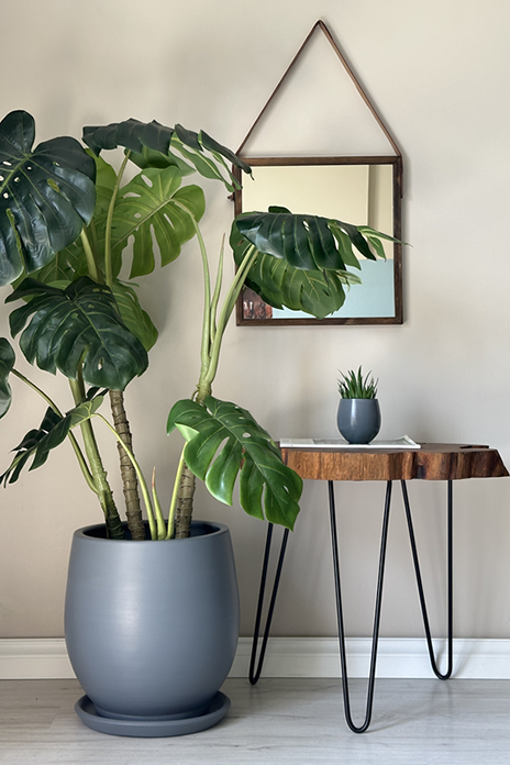 Armut Saksı Tabaklı -Koyu Füme