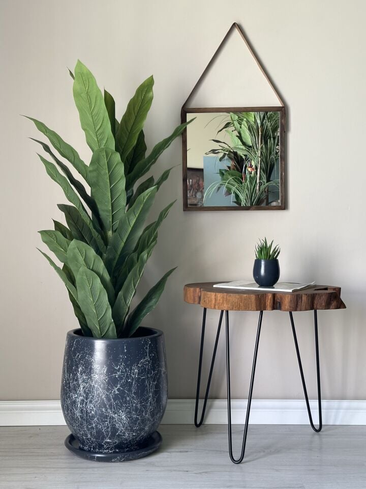 Armut Saksı Tabaklı Yükseklik:32cm Çap:26cm