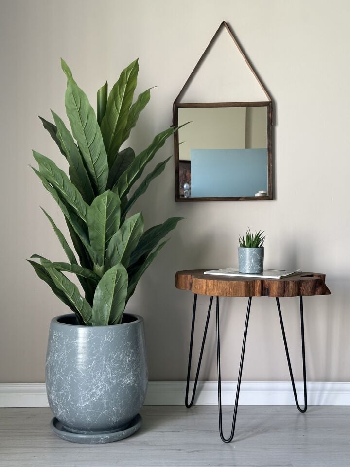 Armut Saksı Tabaklı Yükseklik:32cm Çap:26cm