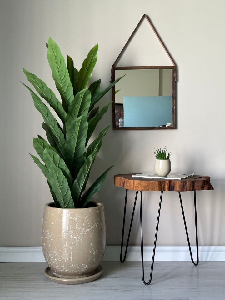 Armut Saksı Tabaklı Yükseklik:32cm Çap:26cm