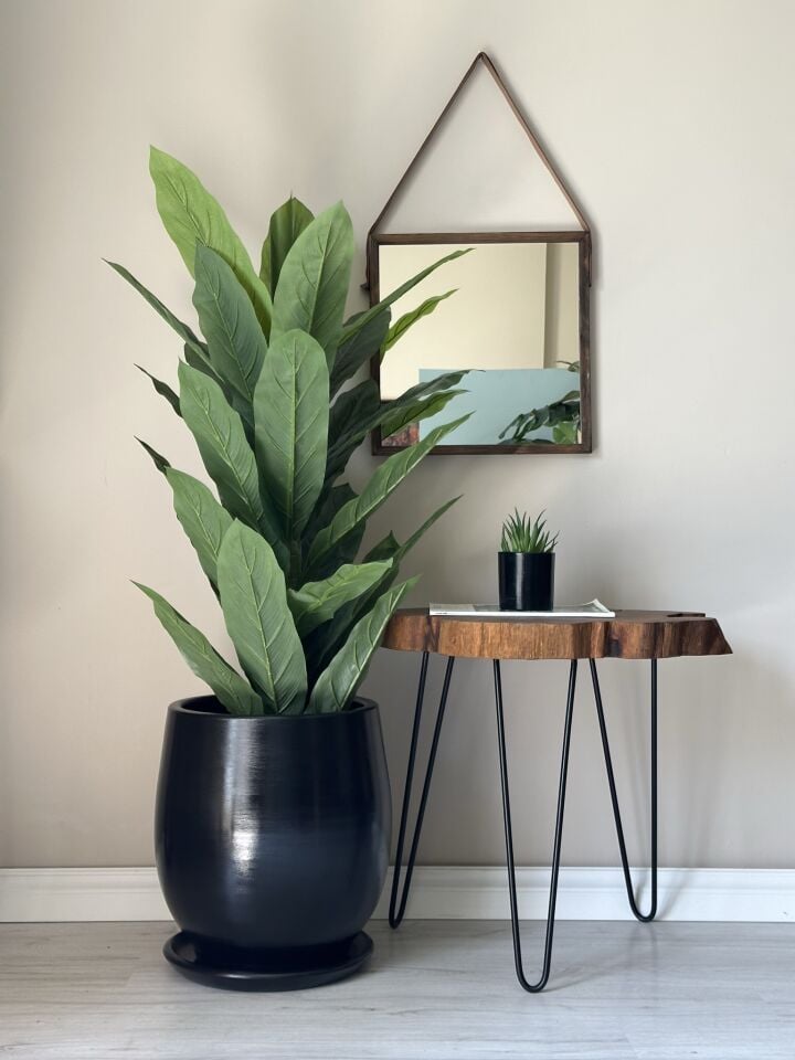 Armut Saksı Tabaklı Yükseklik:32cm Çap:26cm Siyah