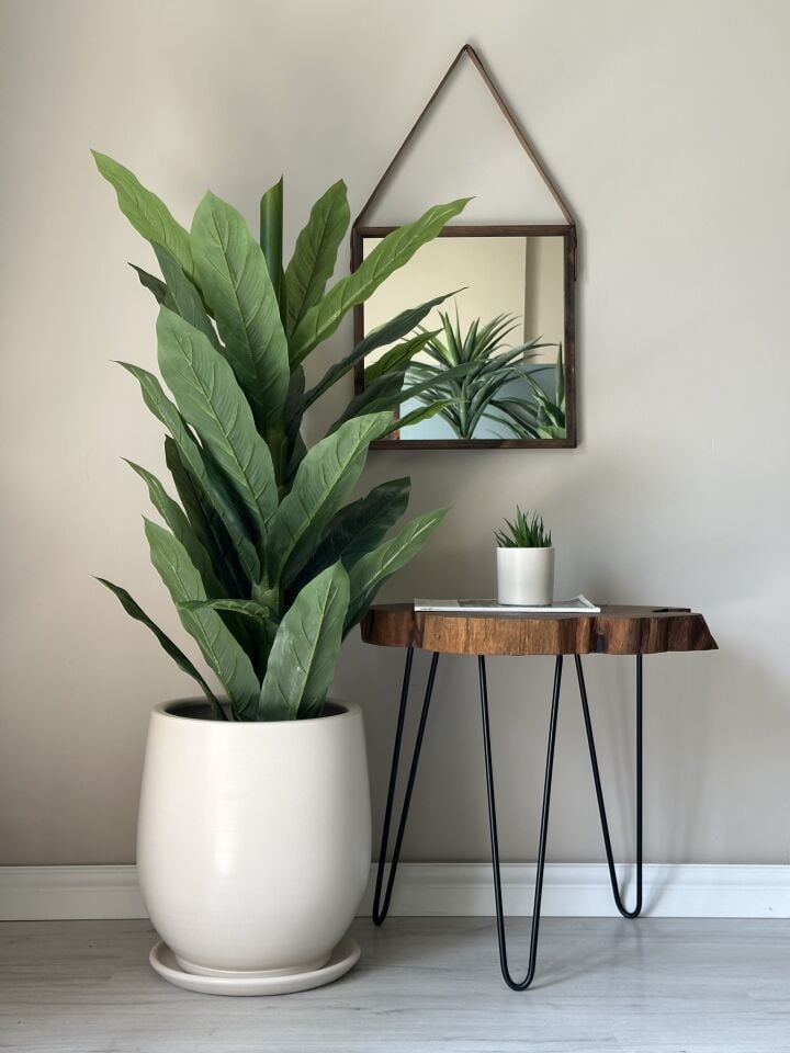 Armut Saksı Tabaklı Yükseklik:32cm Çap:26cm Ekru