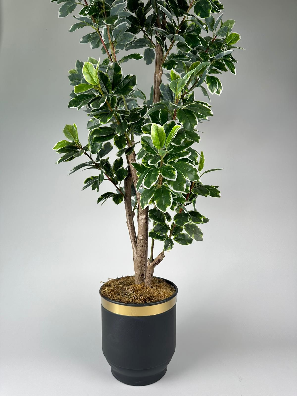 Yapay Bitki Ficus  Büyük Boy Ağaç 210cm