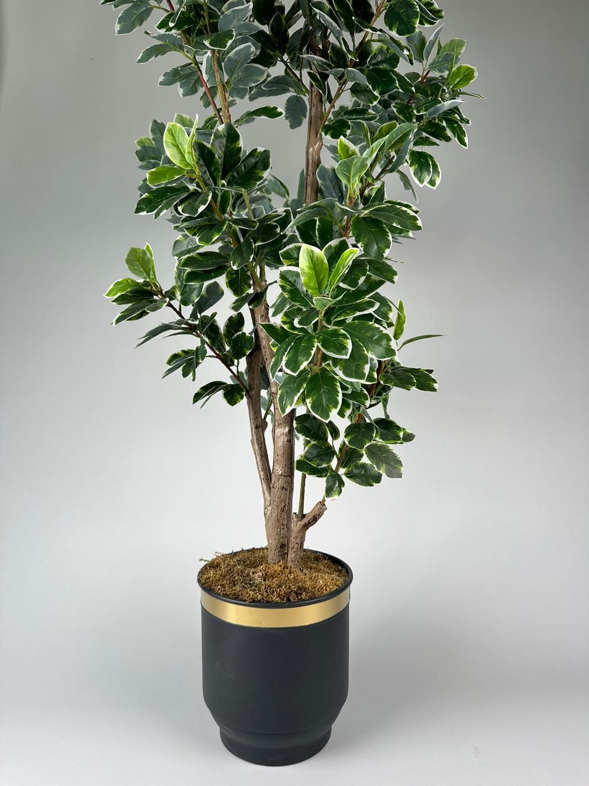 Yapay Bitki Ficus  Büyük Boy Ağaç 200cm