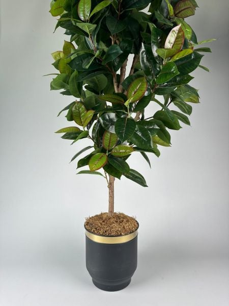 Yapay Bitki Kauçuk Büyük Boy Ağaç 200cm