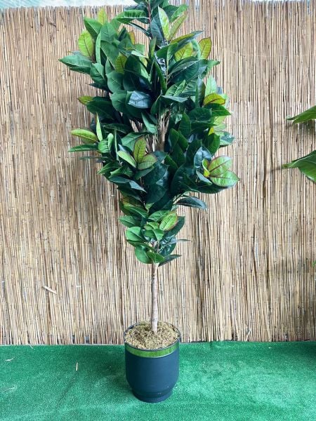 Yapay Bitki Kauçuk Büyük Boy Ağaç 200cm