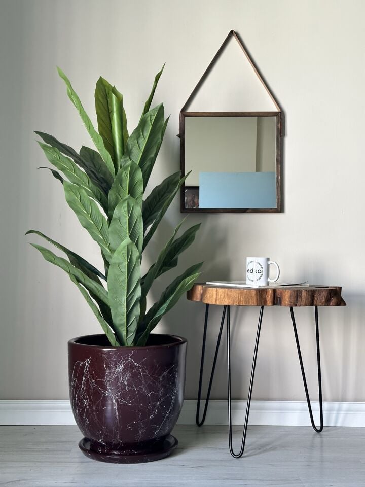 Mia Seri Klasik Saksı Tabaklı Yükseklik 30cm Çap 32cm