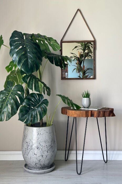 Armut Saksı Tabaklı Yükseklik:32cm Çap:26cm