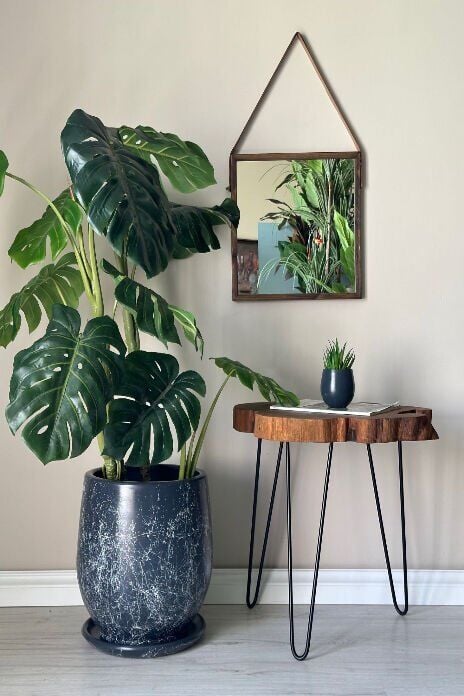 Armut Saksı Tabaklı Yükseklik:32cm Çap:26cm