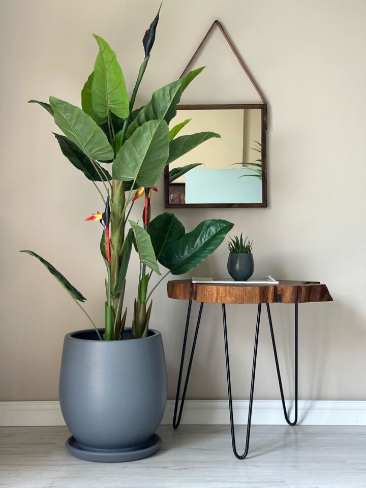 Armut Saksı Tabaklı Yükseklik:32cm Çap:26cm Koyu Füme