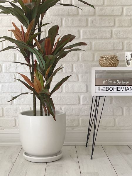 Klasik Saksı Tabaklı Yükseklik 23cm Çap 25cm
