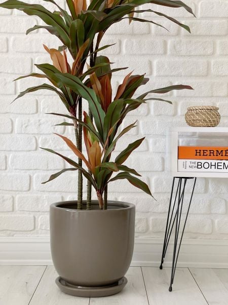 Klasik Saksı Tabaklı Yükseklik 23cm Çap 25cm