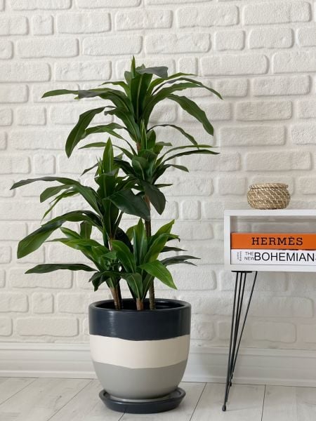 Klasik Saksı Tabaklı Yükseklik 23cm Çap 25cm