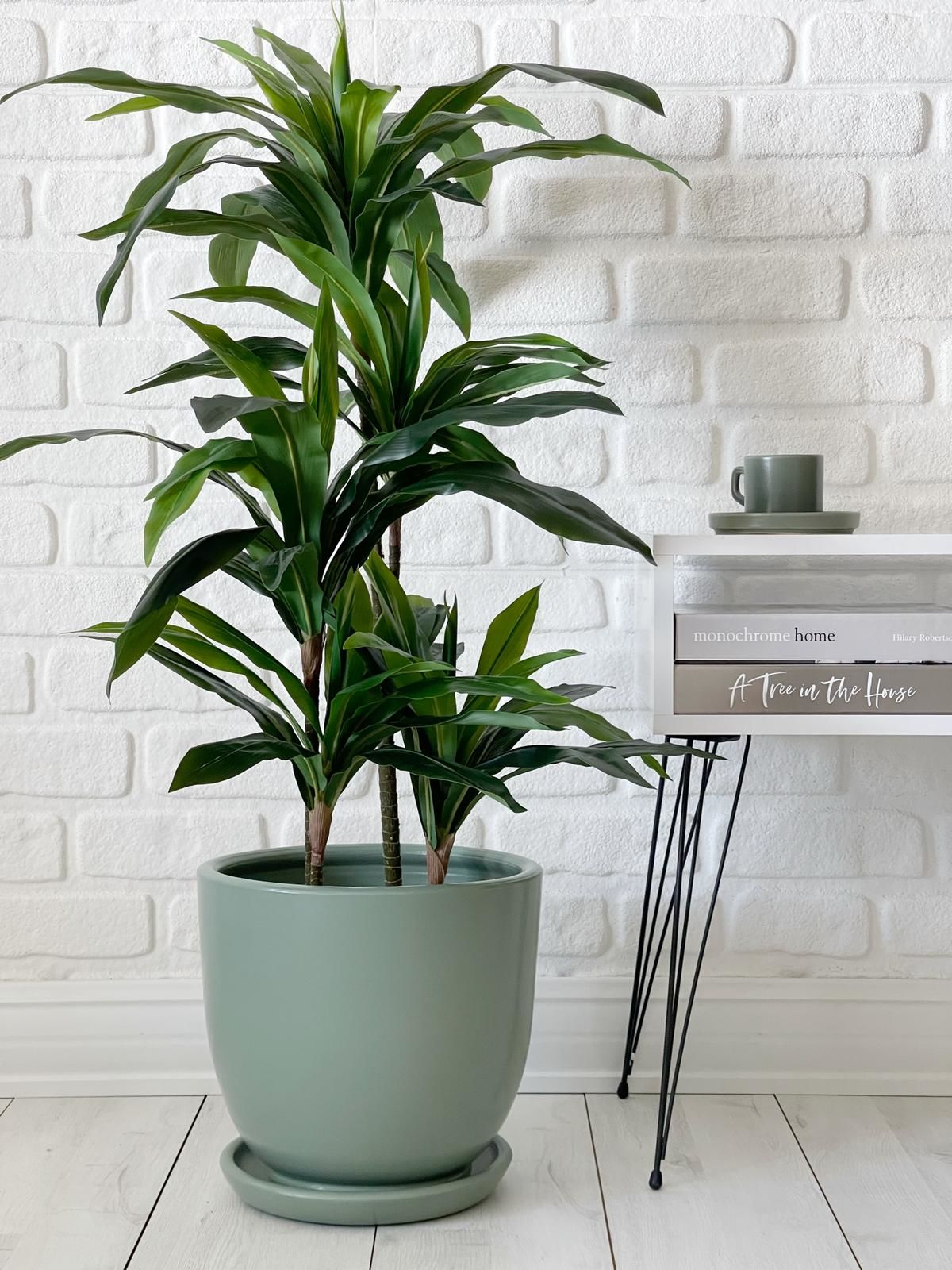 Klasik Saksı Tabaklı Yükseklik 23cm Çap 25cm