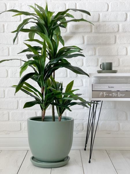 Klasik Saksı Tabaklı Yükseklik 23cm Çap 25cm
