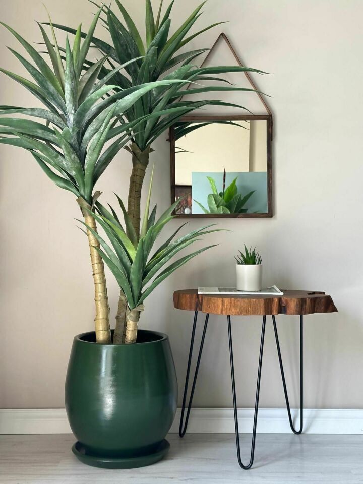 Armut Saksı Tabaklı Yükseklik:32cm Çap:26cm Koyu Yeşil