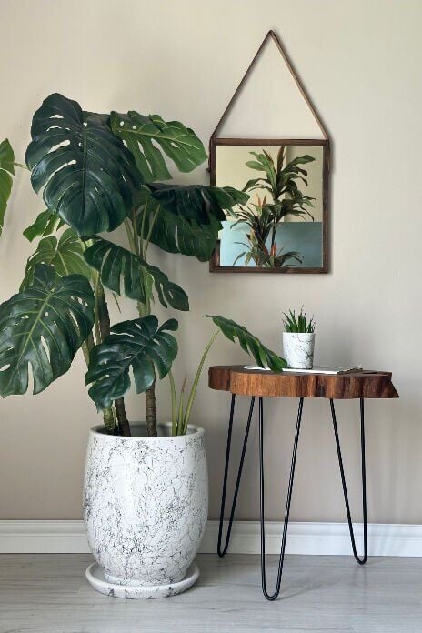 Armut Saksı Tabaklı Yükseklik:32cm Çap:26cm