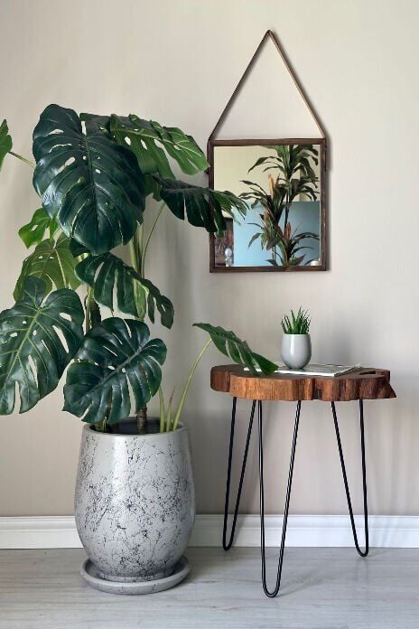 Armut Saksı Tabaklı Yükseklik:32cm Çap:26cm