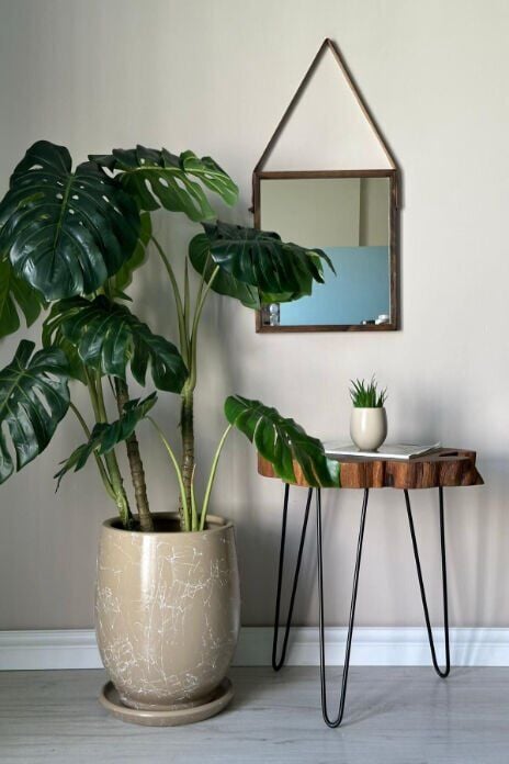 Armut Saksı Tabaklı Yükseklik:32cm Çap:26cm