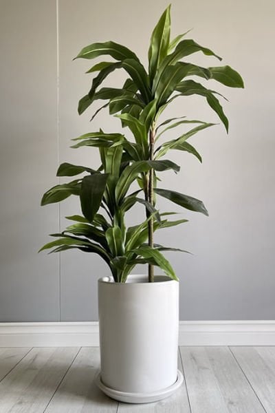 Silindir Saksı -Beyaz H:17cm X Çap: 20cm (10 Litre)