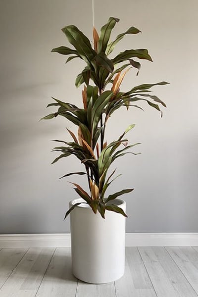 Silindir Saksı -Beyaz H:17cm X Çap: 20cm (10 Litre)