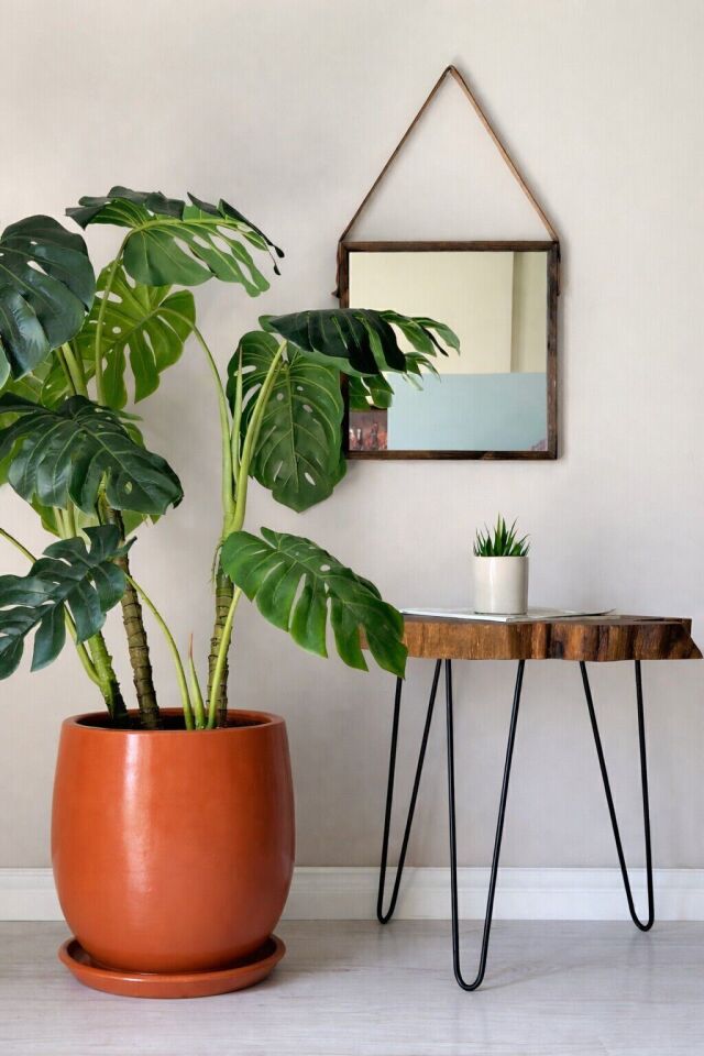 Armut Saksı Tabaklı Yükseklik:32cm Çap:26cm Kiremit (Naturel)
