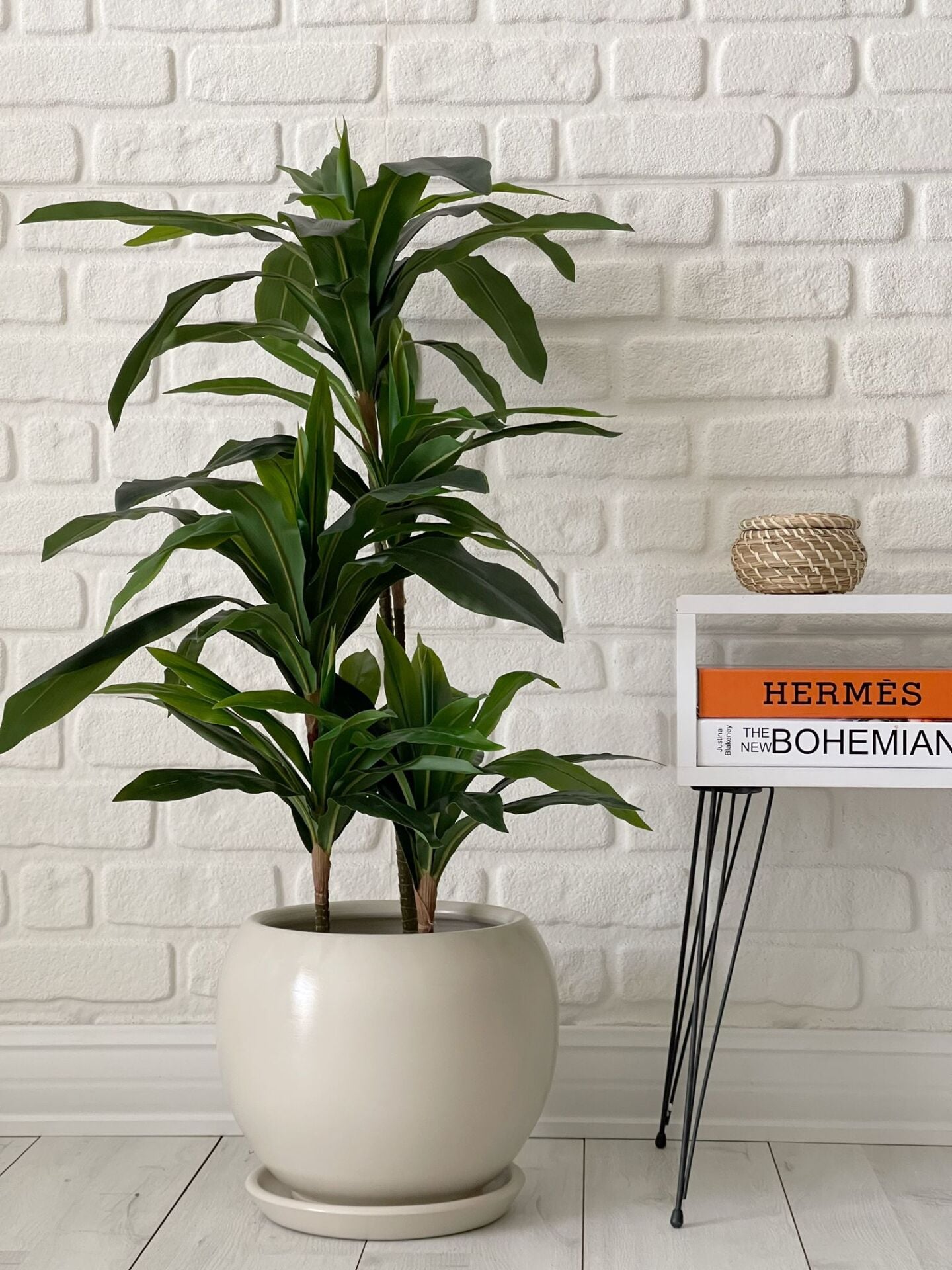 Küre Saksı Tabaklı-Ekru