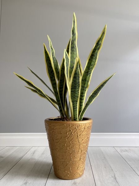 Uzun Konik Kabartmalı Saksı Tabaklı Yükseklik 22cm Çap 24cm