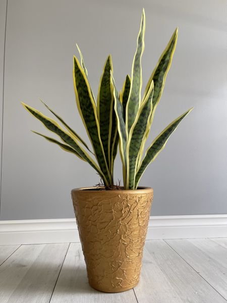 Uzun Konik Kabartmalı Saksı Tabaklı Yükseklik 22cm Çap 24cm Gold
