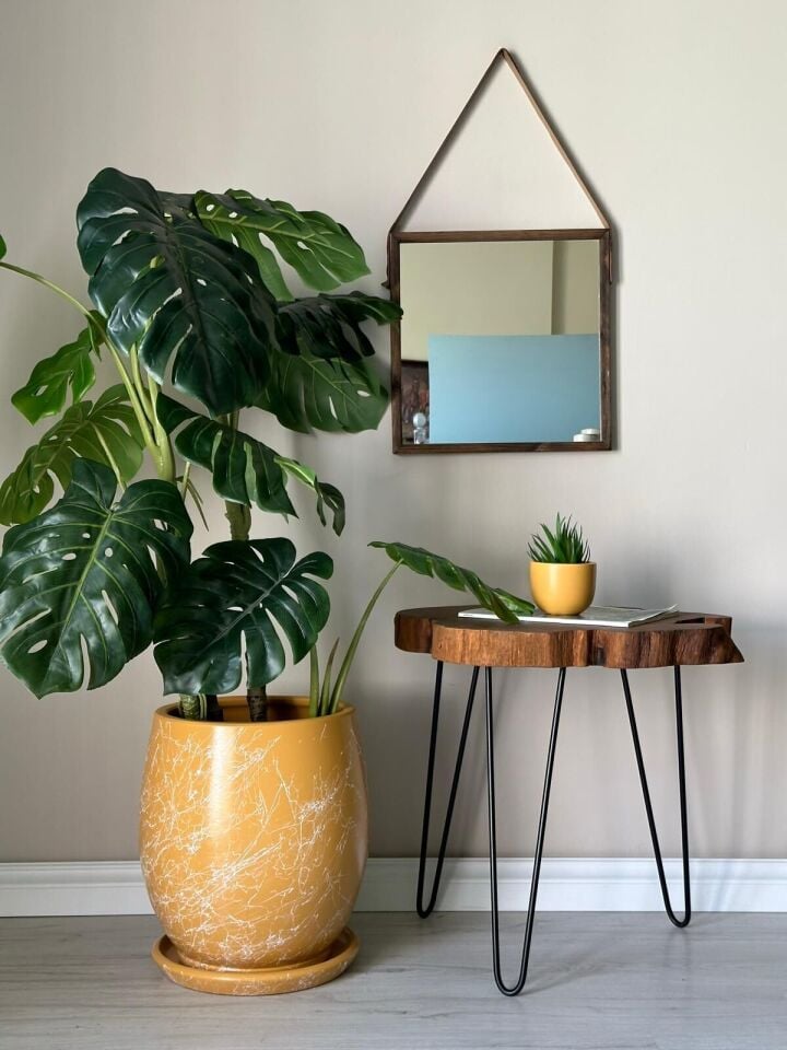 Armut Saksı Tabaklı Yükseklik:32cm Çap:26cm