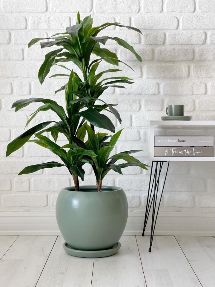 Küre Saksı Tabaklı- Mint Yeşili