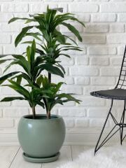 20 Litre Orta Boy Küre Saksı Tabaklı 27cmX27cm