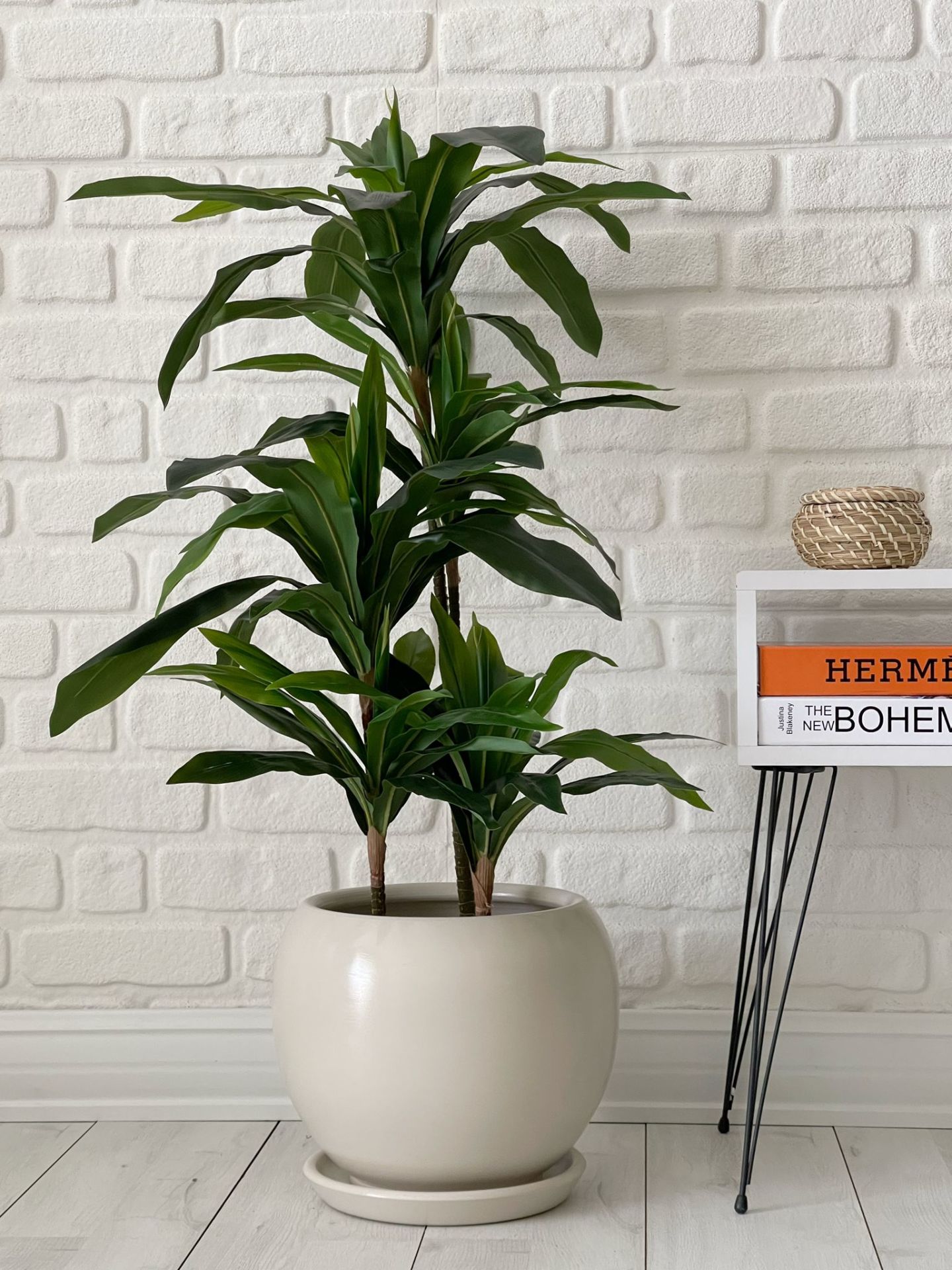 10 Lt Küre Saksı Tabaklı 23cmX23cm