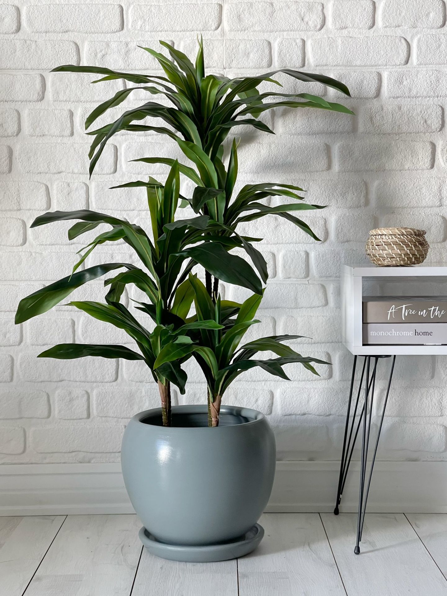 10 Lt Küre Saksı Tabaklı 23cmX23cm Füme