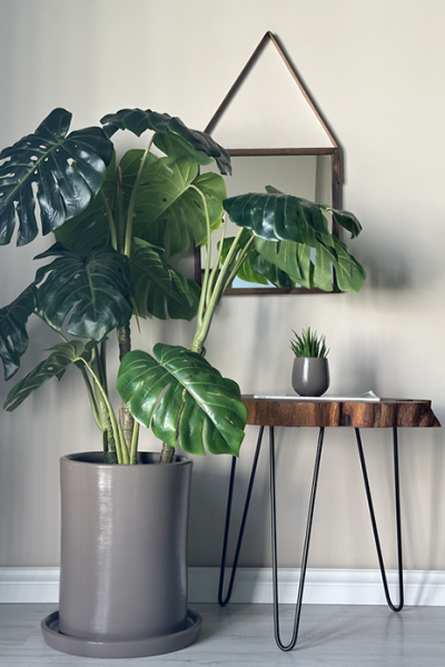 Silindir Saksı -Vizon