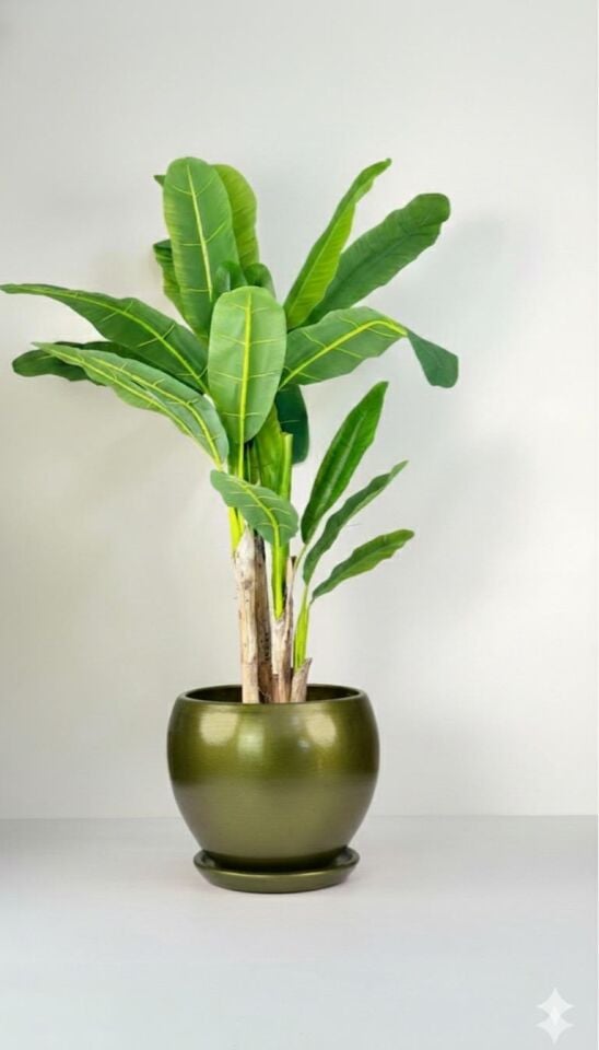 Küre Saksı Tabaklı Yükseklik:27cm Çap:27cm